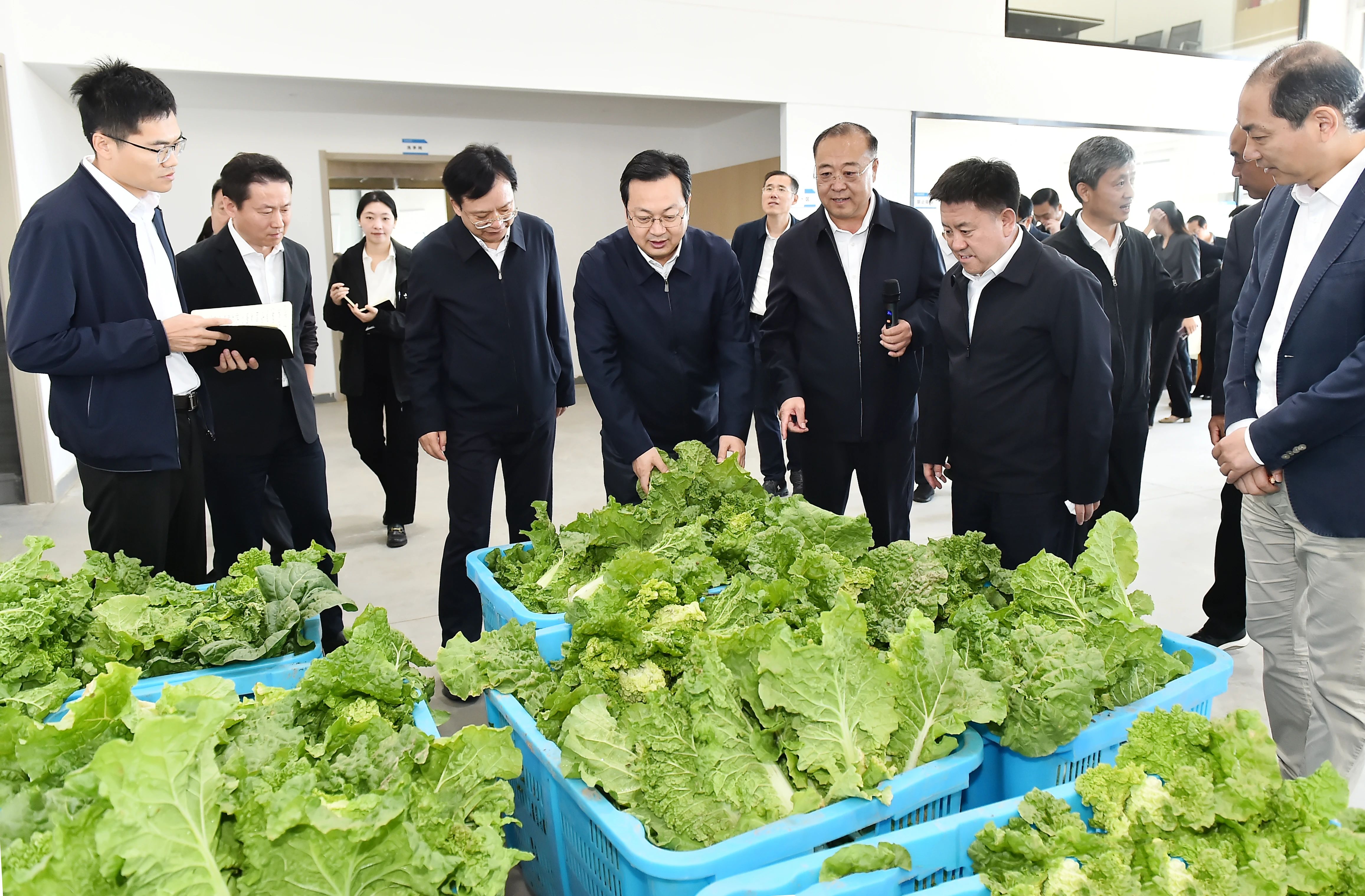 雄安新區(qū)開展鄉(xiāng)村振興觀摩活動。劉向陽攝